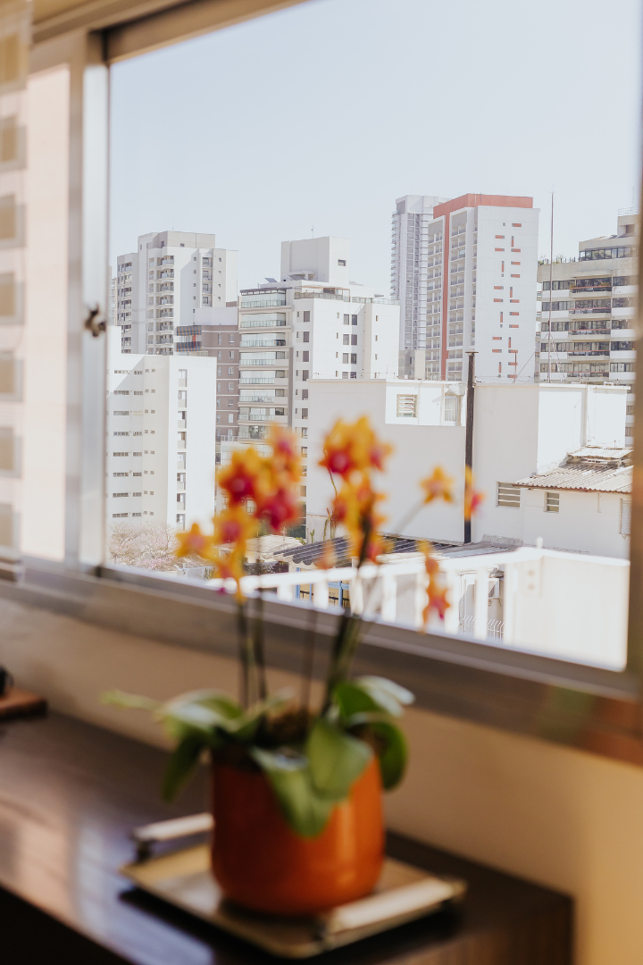 Fernanda-Damy-06 Serviços de comunicação para você e sua empresa: assessoria de comunicação para especialistas, criação de sites, gestão de redes sociais, produção de conteúdo multicanais.