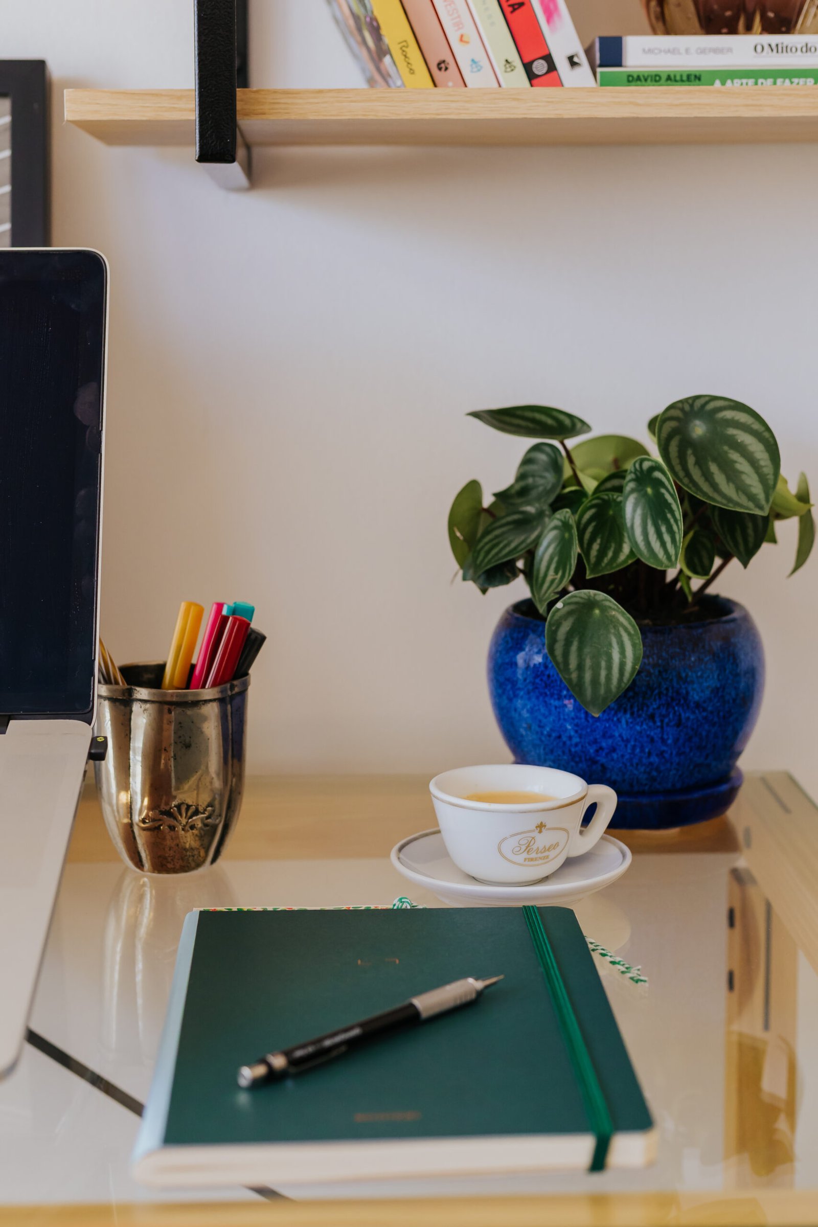 Programa de Estruturação Empresarial Fernanda Damy